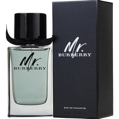 burberry mr.burberry men eau de toilette spray|perfume mr burberry original.